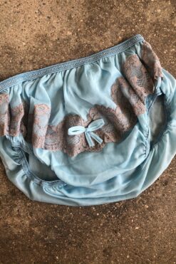 Vintage Florine Baby Blue Undies