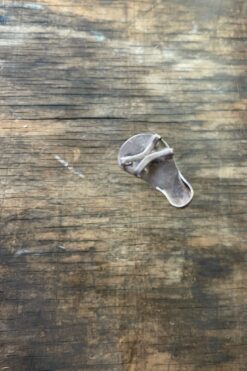 Vintage Mini Silver Sandal Brooch