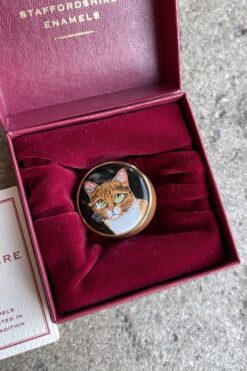 Staffordshire Enamels Marmalade Cat Trinket/Pill Box
